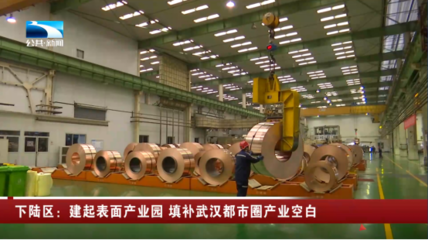 直通黄石丨下陆区:建起表面产业园 填补武汉都市圈产业空白