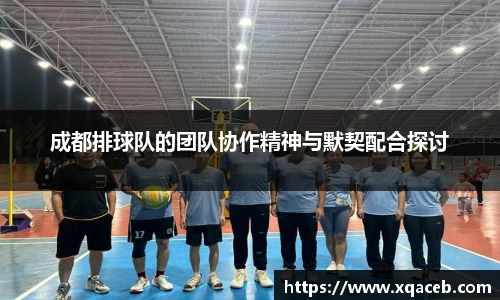 bsports必一体育app